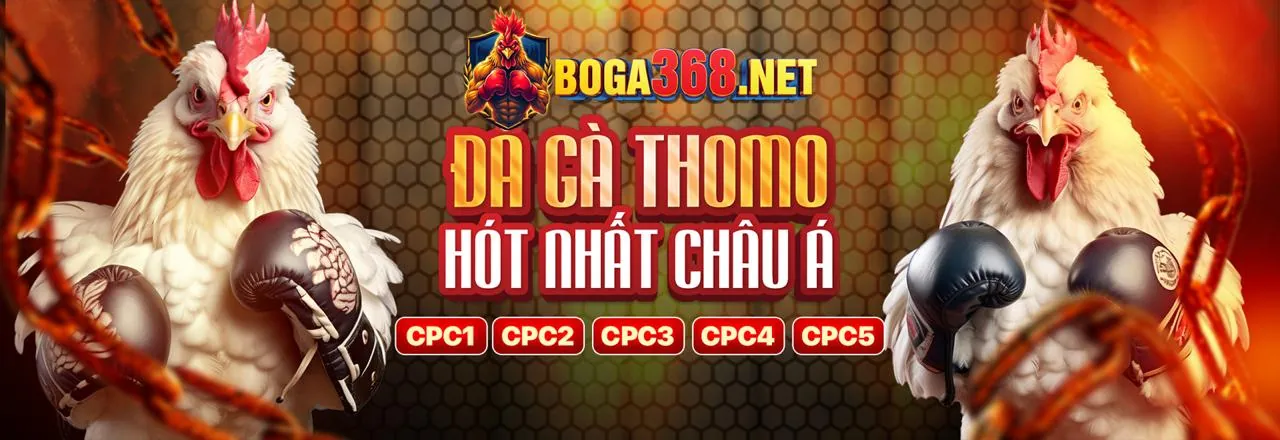 Đá gà trực tuyến loto188