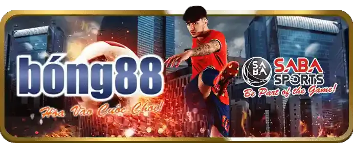 Hướng dẫn cá cược thể thao Loto188